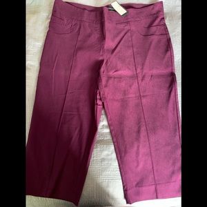 Additionelle BNWT cropped purple pant